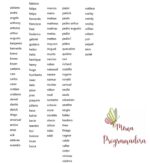 Matriz de Bordado - Pacote 100 Nomes Masculinos - Imagem 4