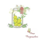 Matriz de Bordado - Potes de Frutas para Bordar - Imagem 7
