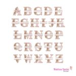 Matriz de bordado alfabeto Entremeio Flores Letras A B C D para bordar ML